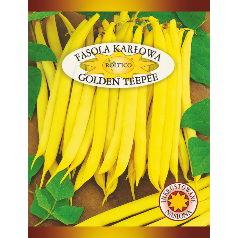 Fasola karłowa Golden Teepee 30g Roltico