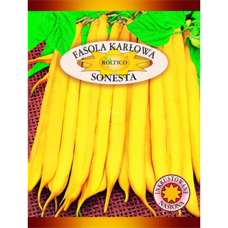 Fasola karłowa Sonesta 30g Roltico