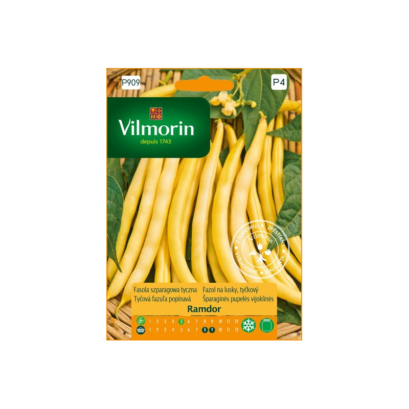 Fasola szparagowa tyczna Ramdor 10g Vilmorin