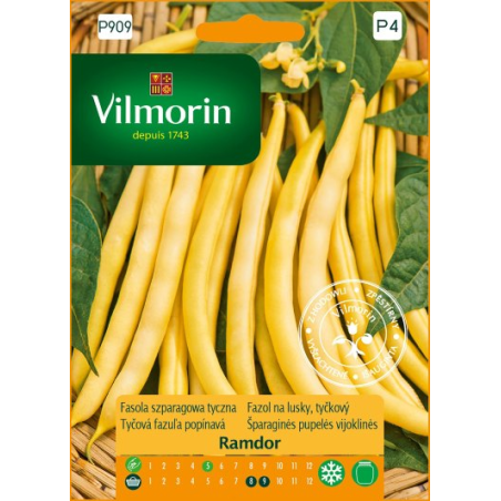 Fasola szparagowa tyczna Ramdor 10g Vilmorin