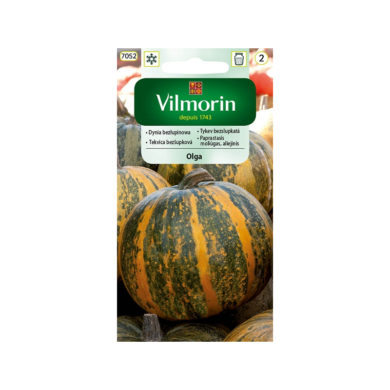 Dynia Zwyczajna Olga bezłupinowa - 2g Vilmorin