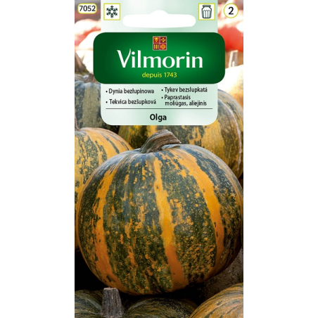 Dynia Zwyczajna Olga bezłupinowa - 2g Vilmorin