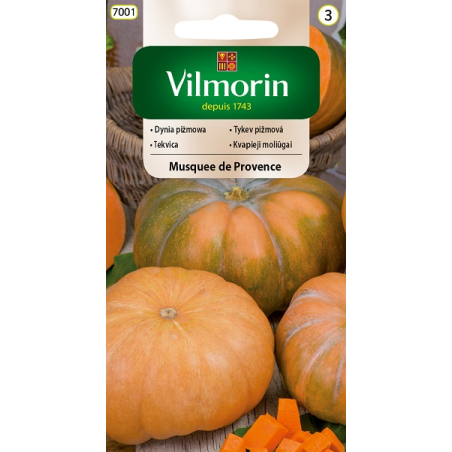 Dynia Piżmowa Musquee De Provence - 2g Vilmorin
