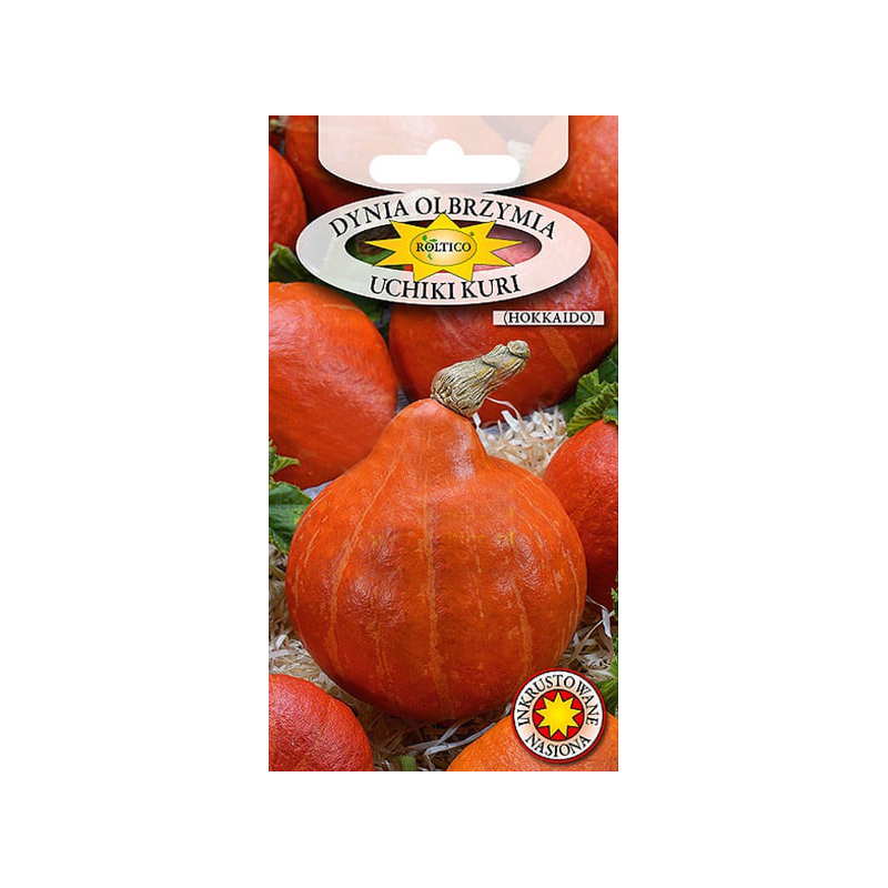 Dynia olbrzymia Uchiki Kuri 3g Roltico