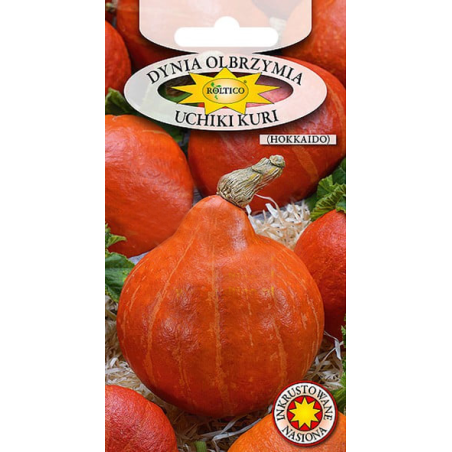 Dynia olbrzymia Uchiki Kuri 3g Roltico