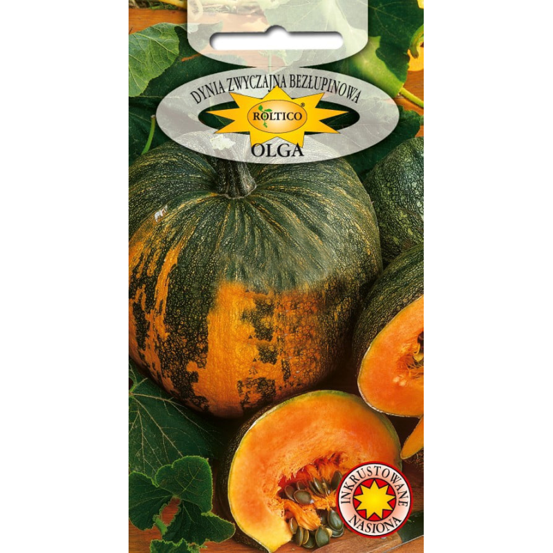 Dynia zwyczajna bezłupinowa Olga 3g Roltico