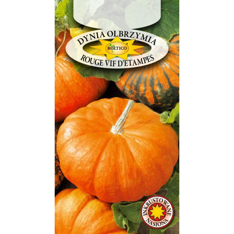 Dynia olbrzymia Rouge vif d’Etampes 3g Roltico
