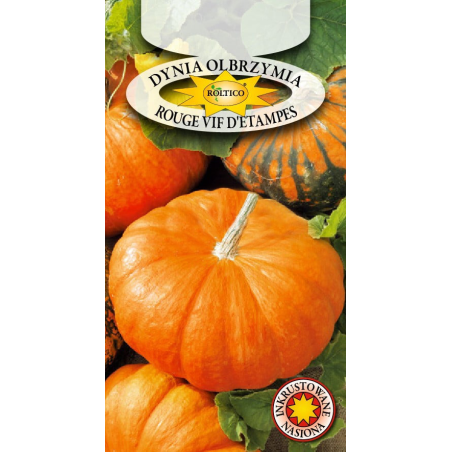 Dynia olbrzymia Rouge vif d’Etampes 3g Roltico