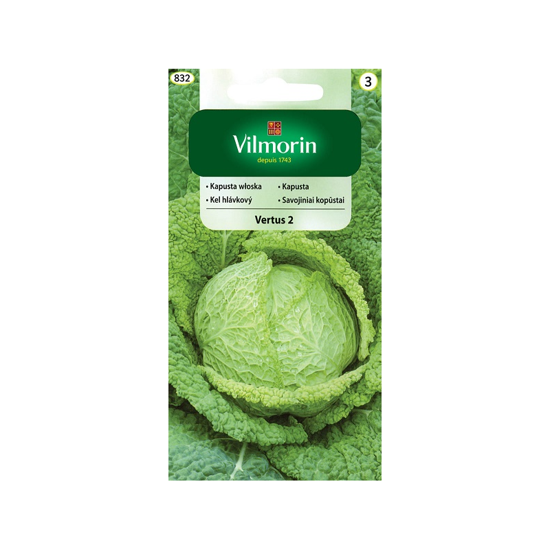 Kapusta włoska Vertus 2 2g Vilmorin
