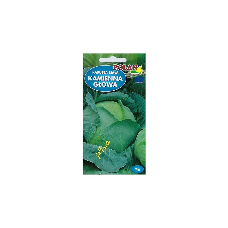 Kapusta biała Kamienna Głowa 2g Polan