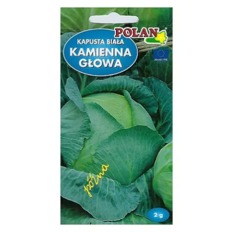 Kapusta biała Kamienna Głowa 2g Polan