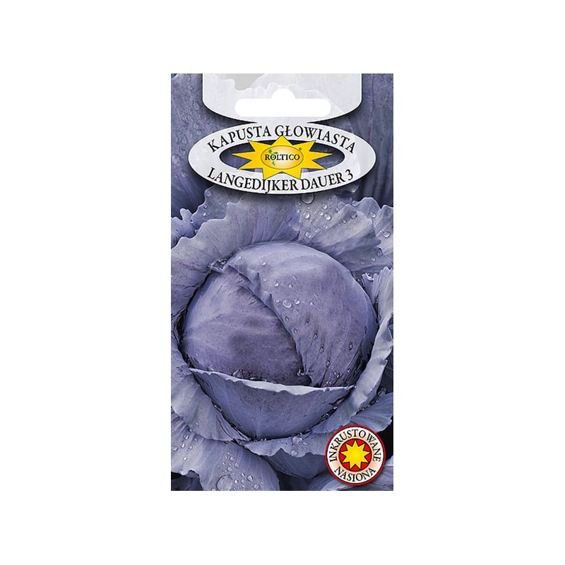 Kapusta głowiasta Langedijker Dauer 3 2g Roltico