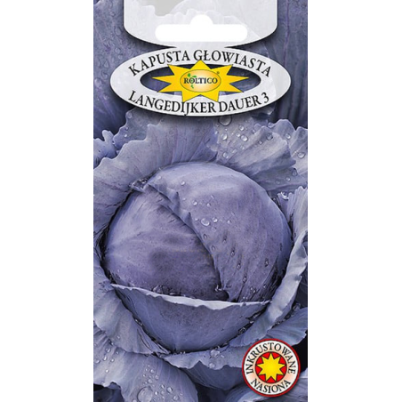 Kapusta głowiasta Langedijker Dauer 3 2g Roltico