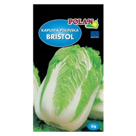 Kapusta pekińska Bristol 2g Polan