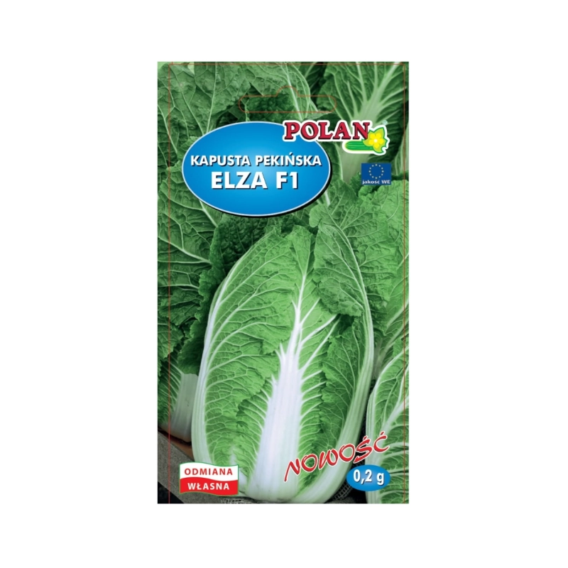 Kapusta pekińska Elza F1 0,2g Polan