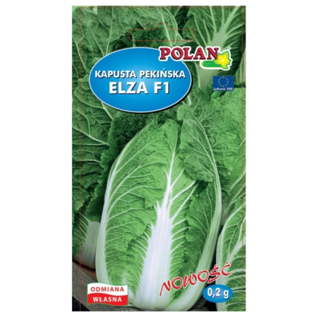 Kapusta pekińska Elza F1 0,2g Polan