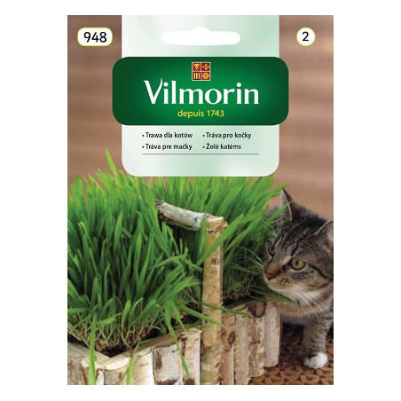 Trawa dla kotów 25g Vilmorin