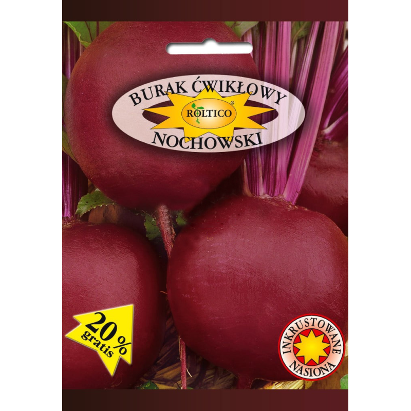 Burak ćwikłowy Nochowski 10g Roltico