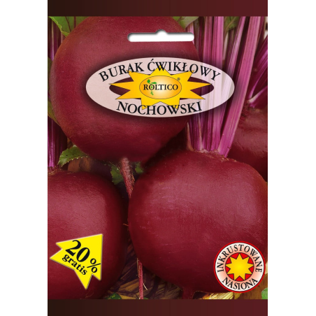 Burak ćwikłowy Nochowski 10g Roltico