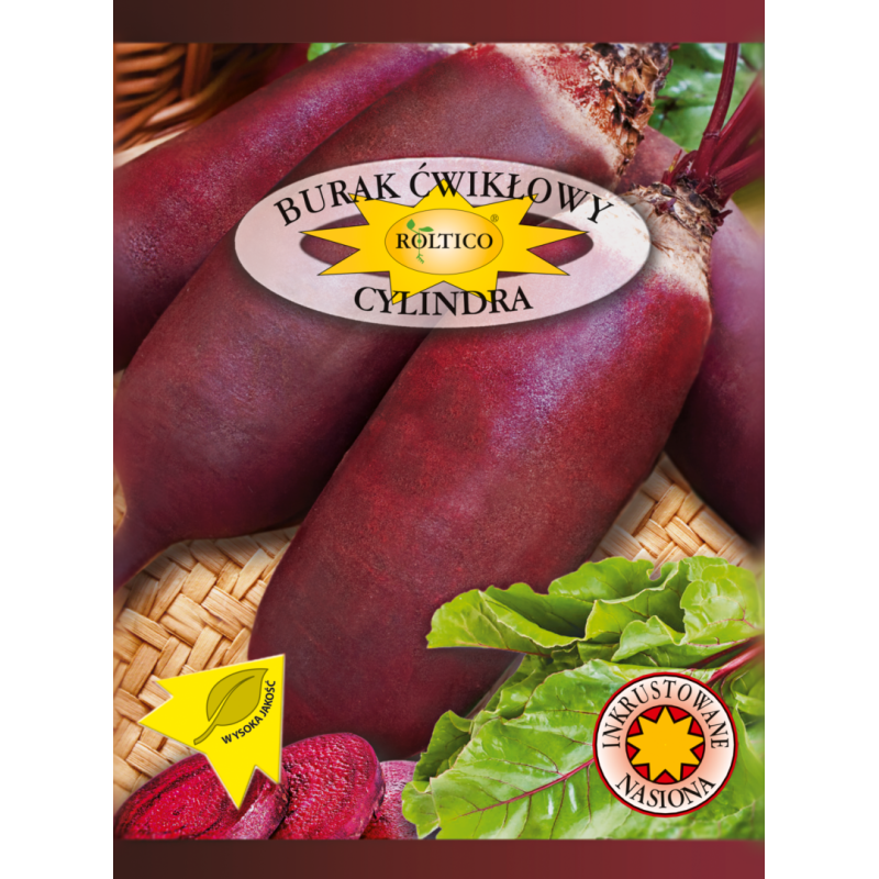 Burak ćwikłowy Cylindra 10g Roltico