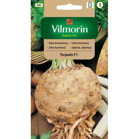 Seler korzeniowy Torpedo F1 40 nasion Vilmorin