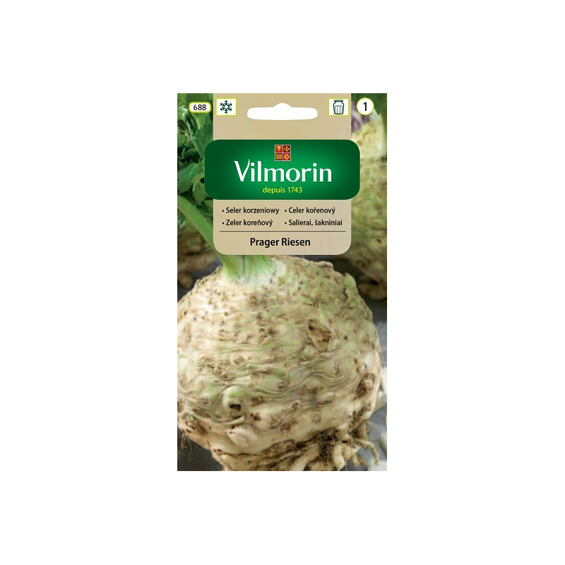 Seler korzeniowy Prager Riesen 0,5g Vilmorin