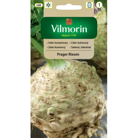 Seler korzeniowy Prager Riesen 0,5g Vilmorin