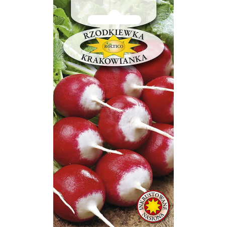 Rzodkiewka Krakowianka 10g Roltico