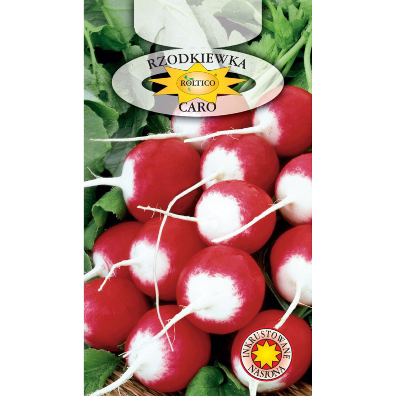 Rzodkiewka Caro 10g Roltico