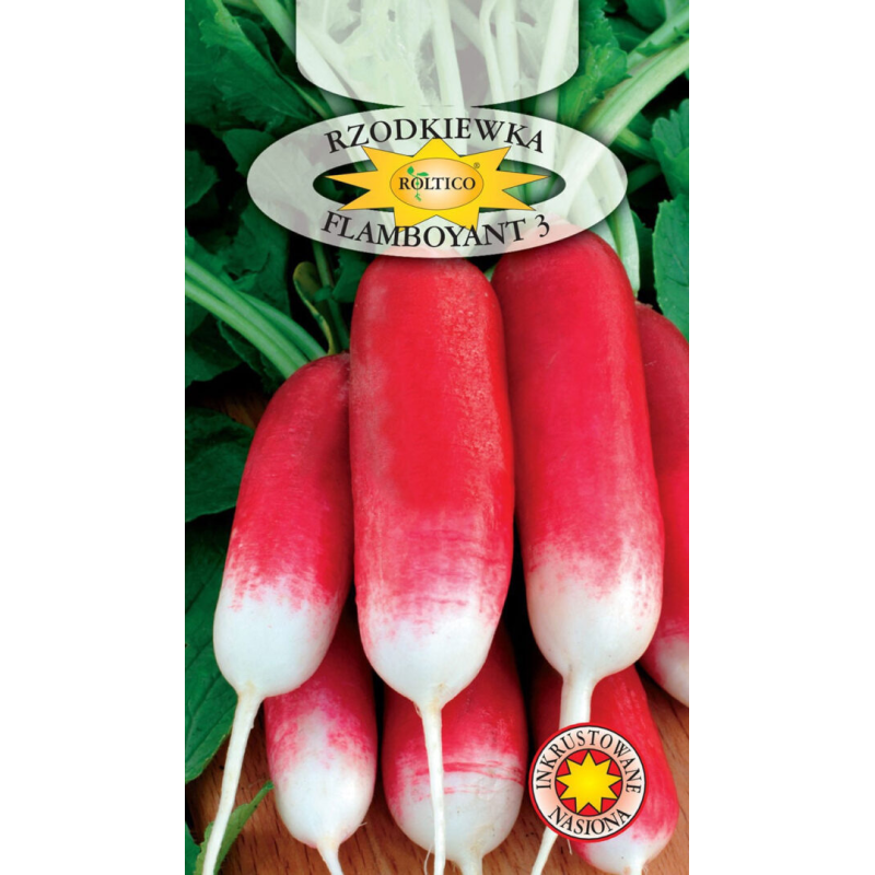 Rzodkiewka Flamboyant 3 10g Roltico