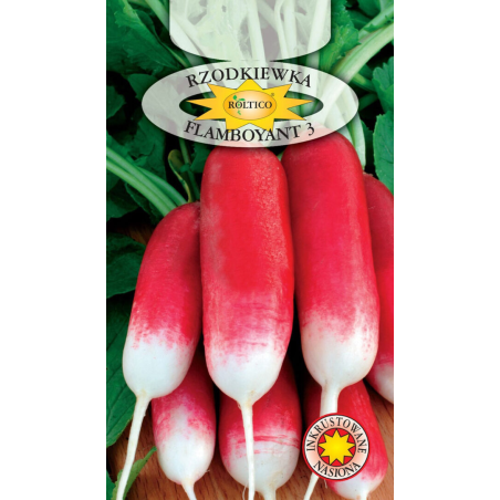 Rzodkiewka Flamboyant 3 10g Roltico