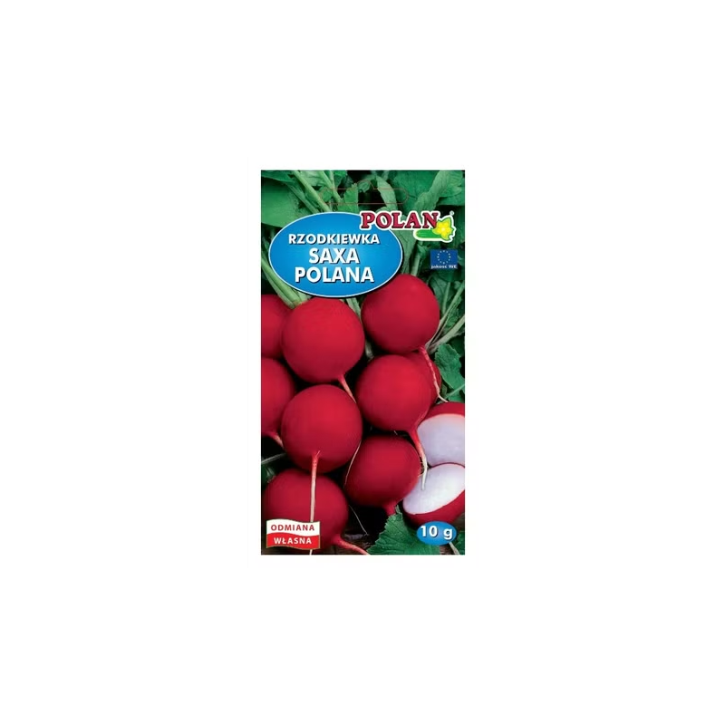 Rzodkiewka Saxa polana 10g Polan