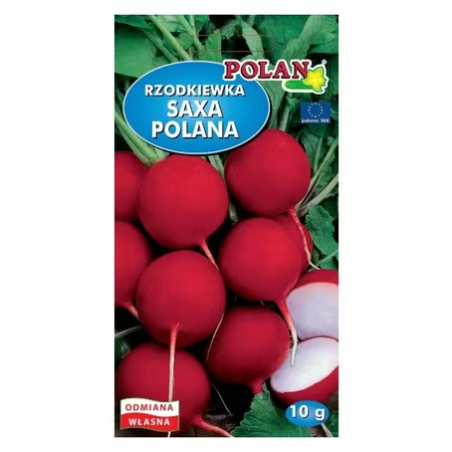 Rzodkiewka Saxa polana 10g Polan