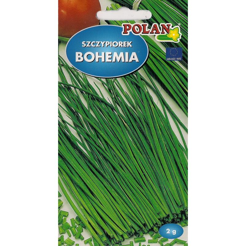 Szczypiorek Bohemia 2g Polan