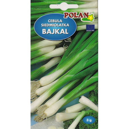 Cebula siedmiolatka Bajkal 3g Polan