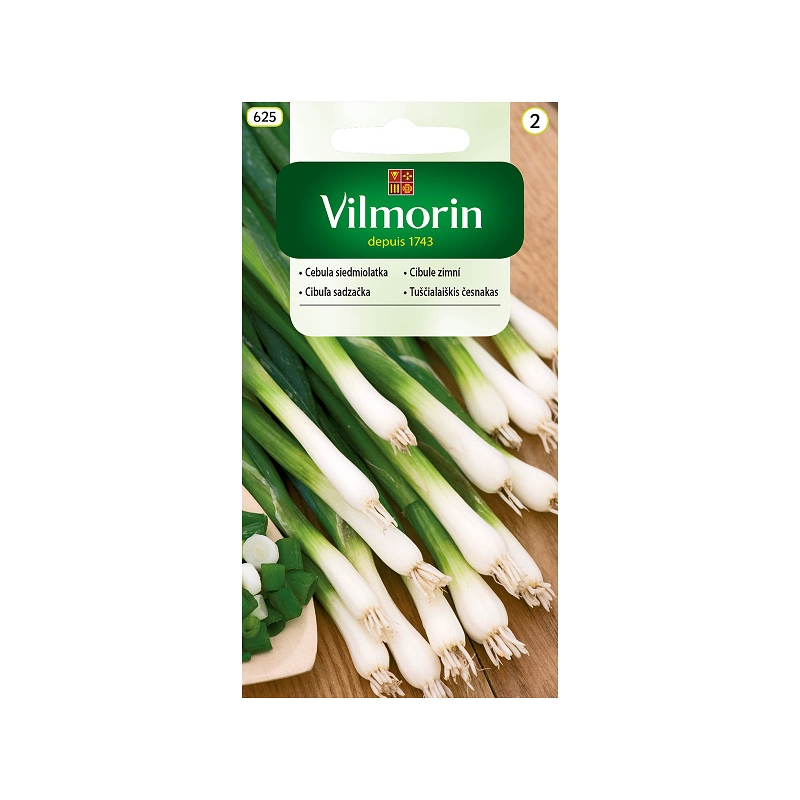 Cebula siedmiolatka Bajkal 2g Vilmorin