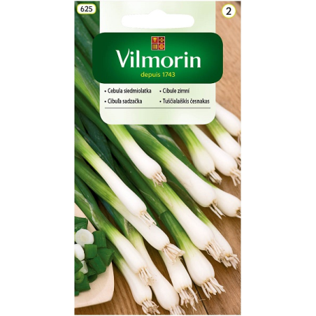 Cebula siedmiolatka Bajkal 2g Vilmorin