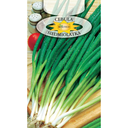 Cebula siedmiolatka Bajkal 2g Roltico
