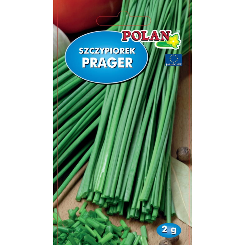 Szczypiorek Prager 2g Polan
