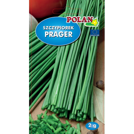 Szczypiorek Prager 2g Polan