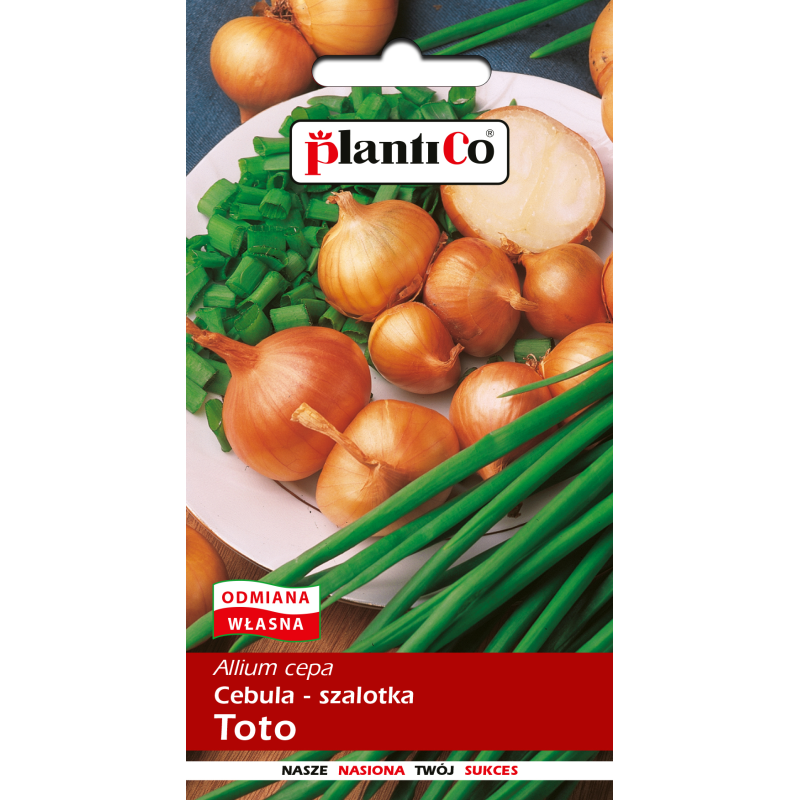 Cebula Szalotka Toto 1g PlantiCo