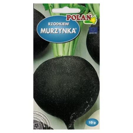 Rzodkiew Murzynka 10g Polan