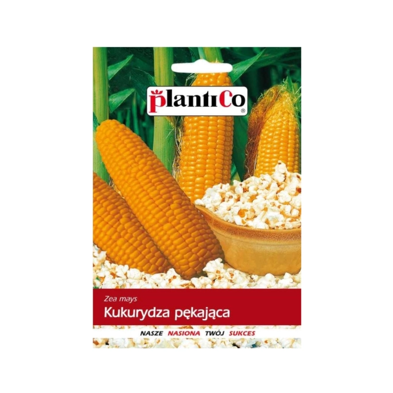Kukurydza pękająca Jantar F1 10g PlantiCo