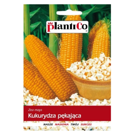 Kukurydza pękająca Jantar F1 10g PlantiCo