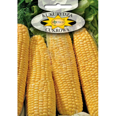 Kukurydza cukrowa Golden Bantam 10g Roltico