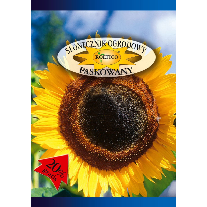 Słonecznik ogrodowy Paskowany 10g Roltico