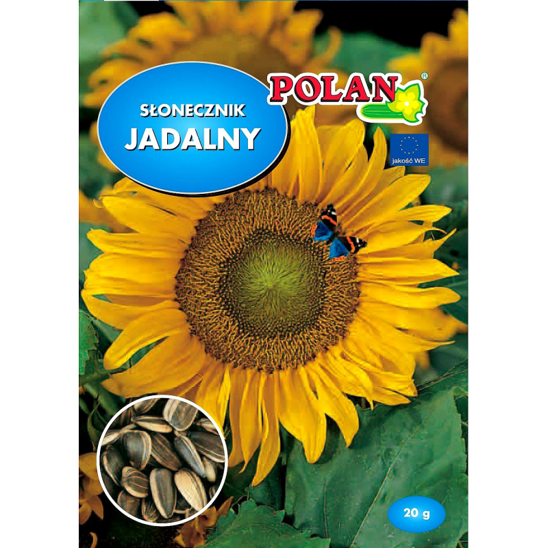 Słonecznik jadalny 20g Polan