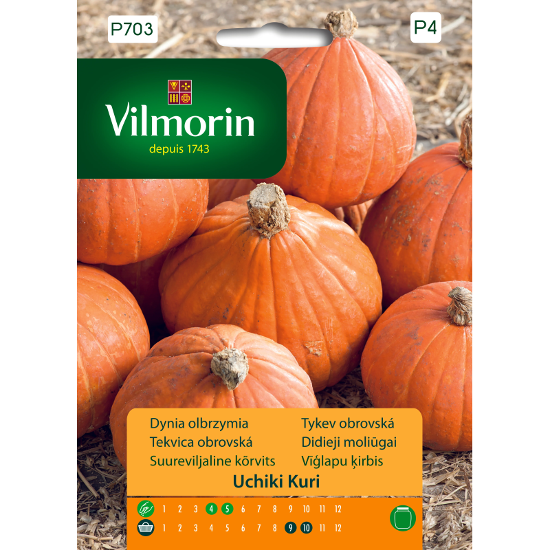 Dynia olbrzymia Uchiki Kuri 3g Vilmorin