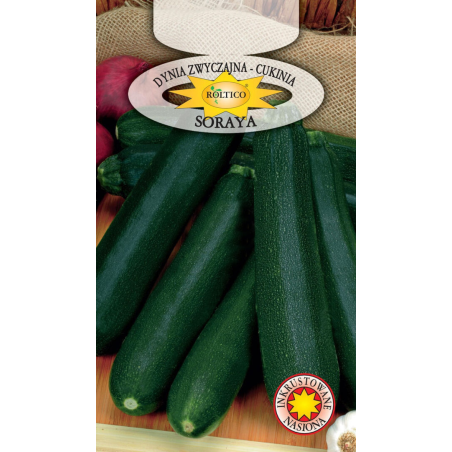 Dynia zwyczajna Cukinia Soraya 2g Roltico
