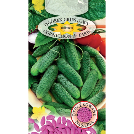 Ogórek gruntowy Cornichon de Paris 50 nasion Roltico